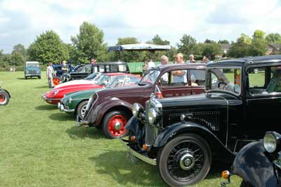 A fine display of vintage cars