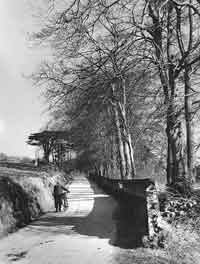 The Beeches in 1947