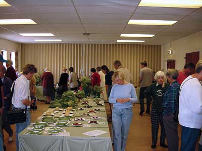 Fete 2001