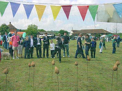 Fete 2001