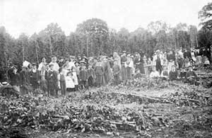 Hop pickers at Coldrey in 1900