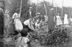 In the hop gardens August 1935