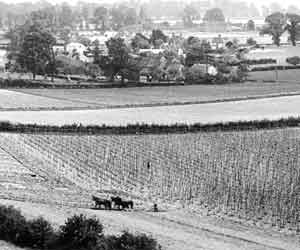 Lower Froyle looking South in 1912