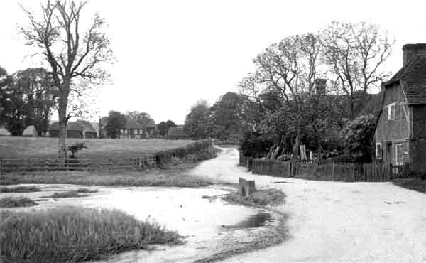 The pond in 1912