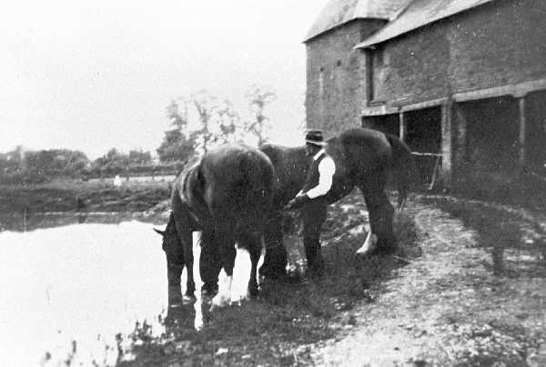 George Westbrook watering horses in Sylvesters pond